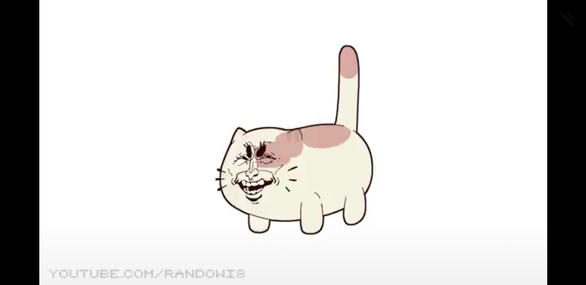 Sad Cat Dance Meme - RandoWis