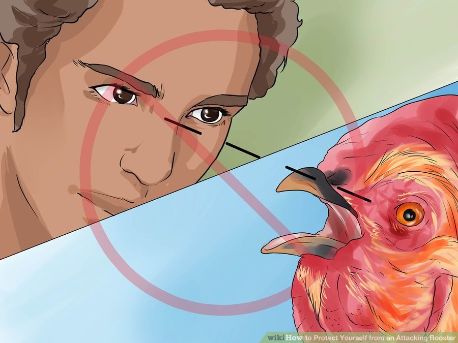 Wikihow Pictures Out Of Context