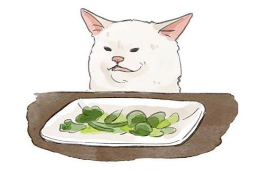 Confused Cat At Dinner On June 19th 2018 Tumblr User