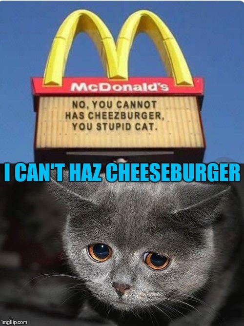 I Can Has Cheezburger? by Professor Happycat