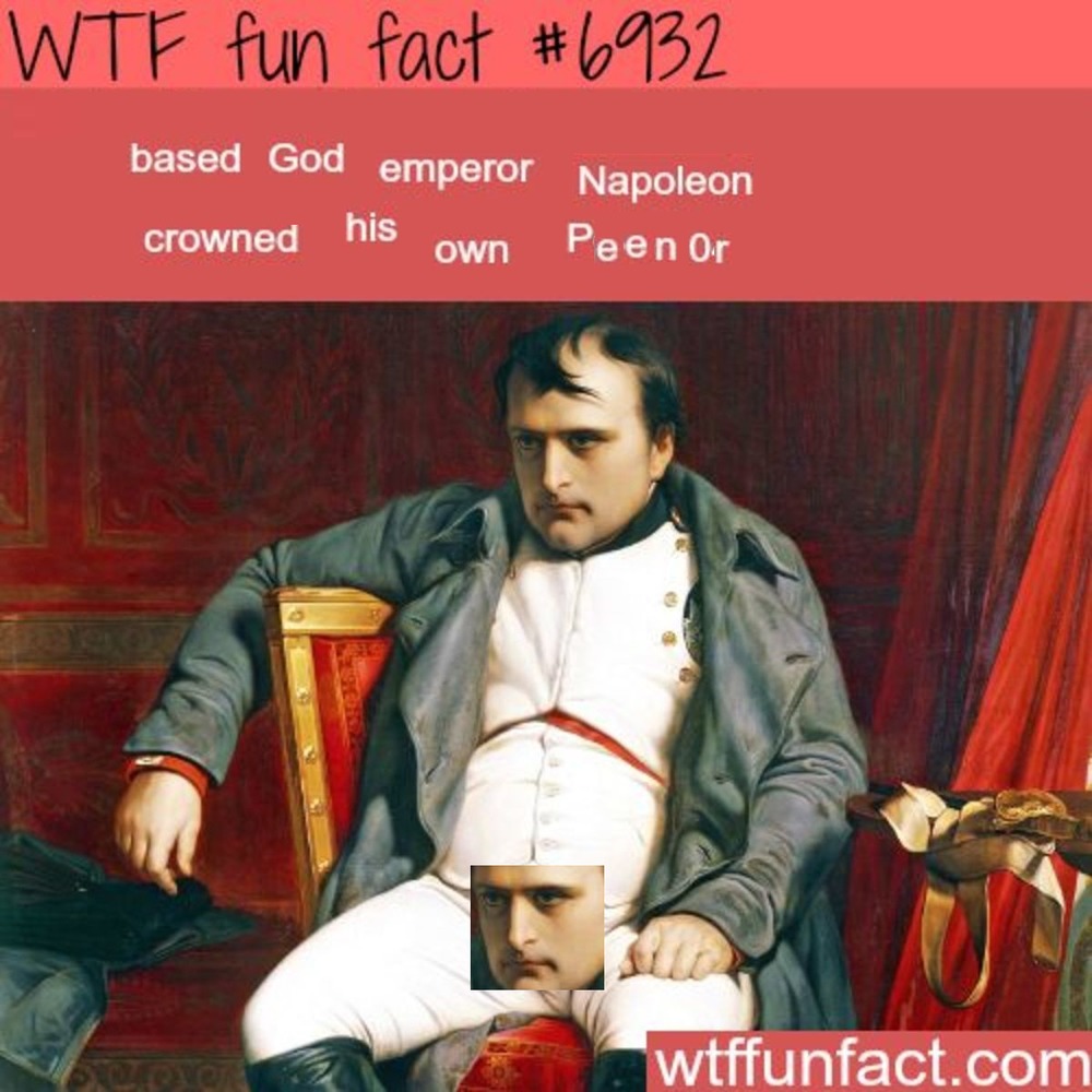 1799-how-did-napoleon-actually-come-to-power-history-info