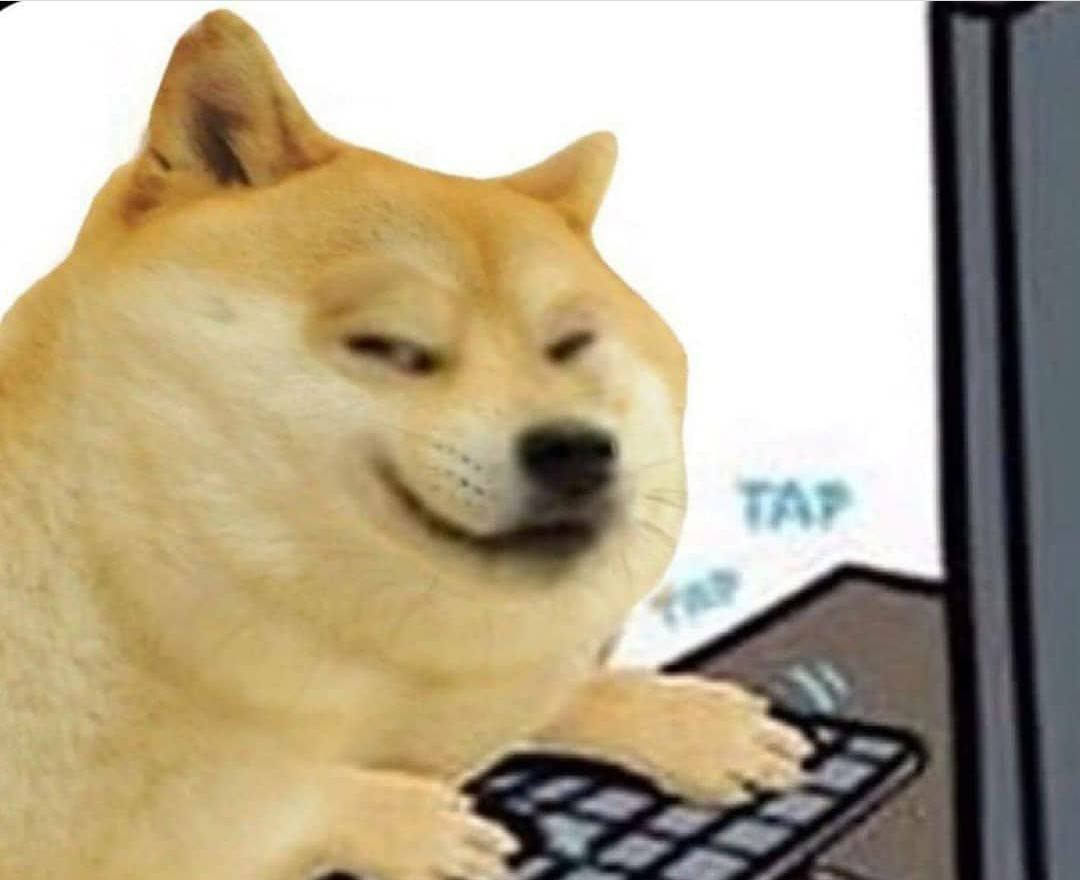 Doge Reddit - le roblox on the teachers computer has arrived dogelore