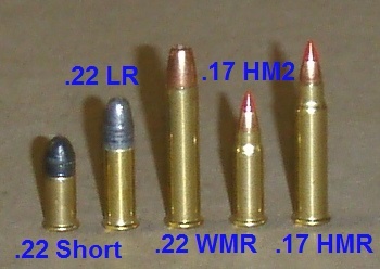 25 acp .22 short .22LR .22mag - #172891401 added by lean at superficial nos...