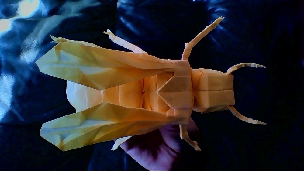 And Heres An Origami Yellow Jacket I Like Origami Insects