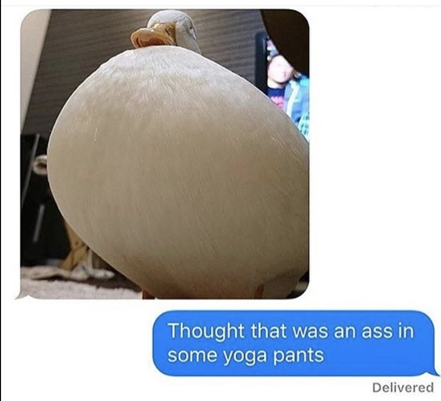 Women thicc 