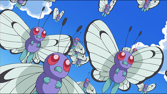 butterfly apocalypse