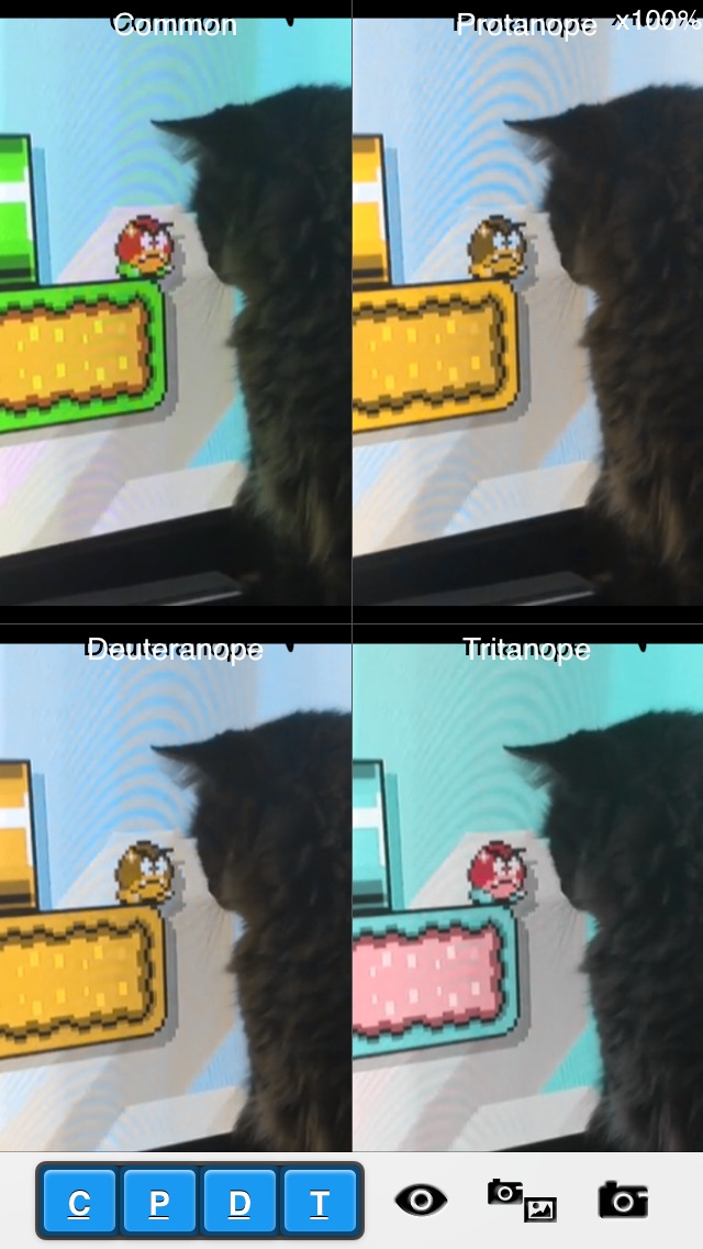 Colorblind Simulation For What The Cat Sees Per Human Vision