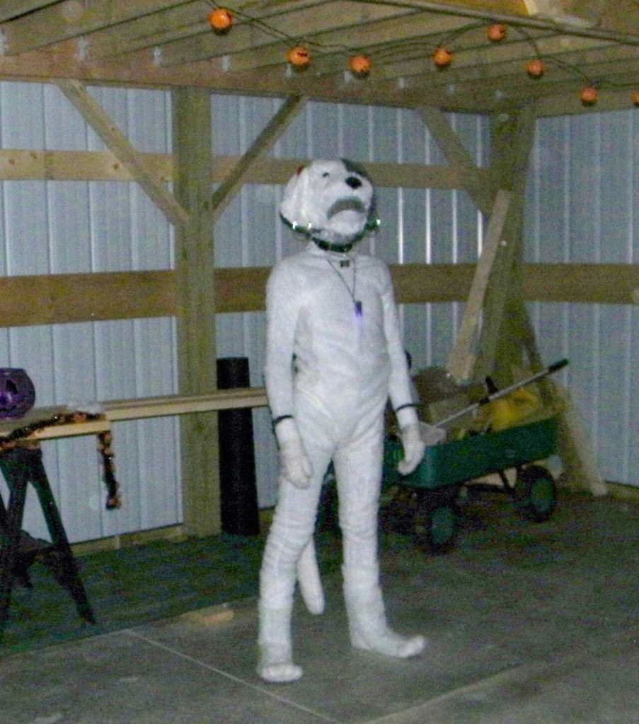 Cursed Furry Images