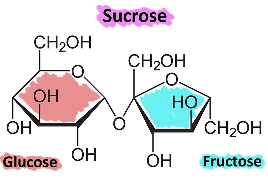 Sucrose is a more complex structure, made of both glucose and fructose. 