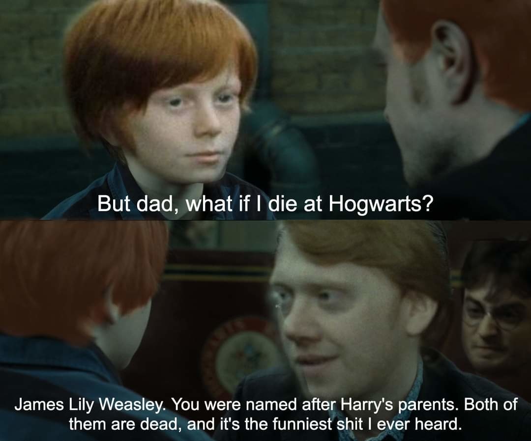 Funny Weasley Scene #23  Murder me Harry 