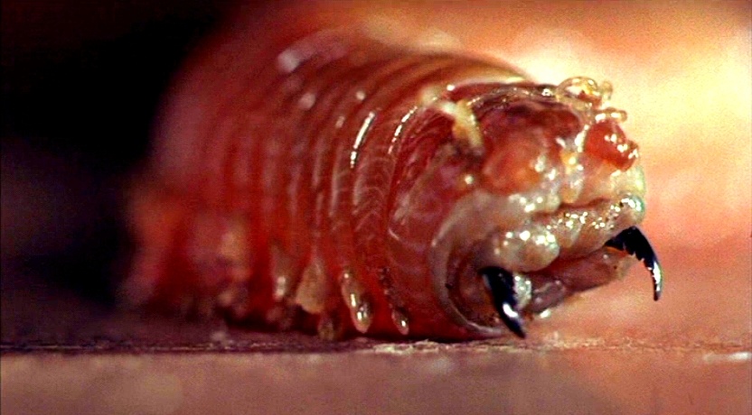 sandworm teeth are way worse than bloodworm teeth - #167579701 added by  chikibriki at nope
