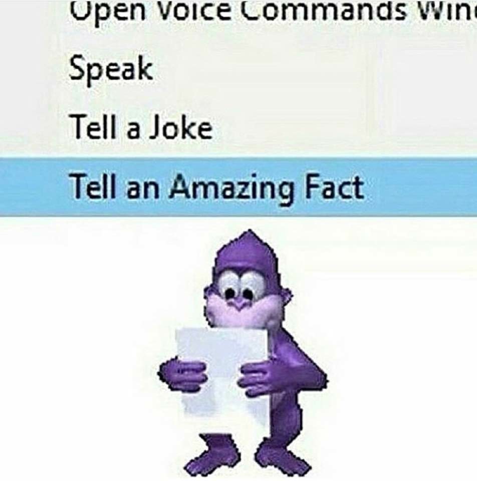 bonzi buddy in the backrooms : r/memes