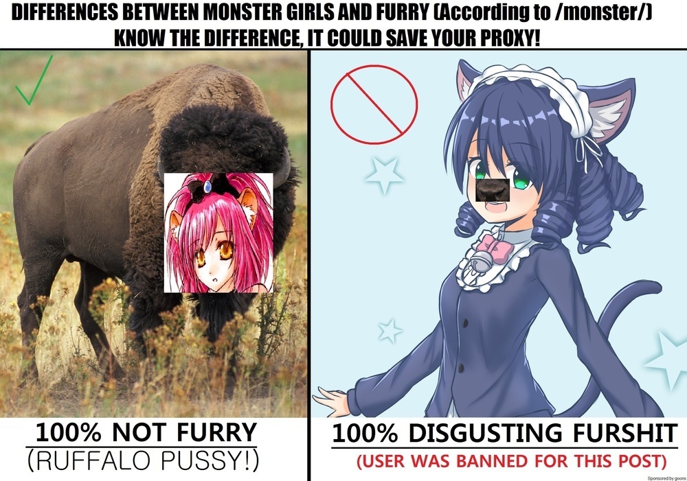 Furries and Monster Girls - The Difference Explained 