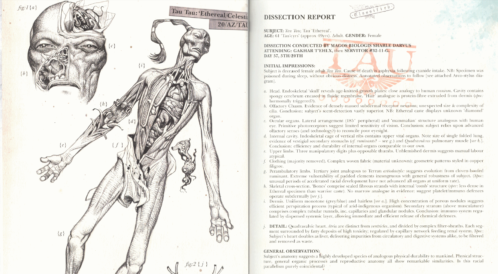 Tau Anatomy And Physiology : R/40kLore