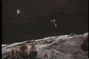 Featured image of post Lemmings Jumping Off A Cliff Gif As the corbett report community notes lemmings jumping from cliffs is a figment of walt disney s imagination not a real phenomenon