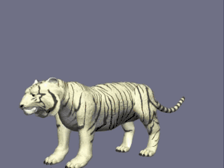 tigatron and cheetor
